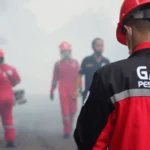 Jasa Fogging Nyamuk di Sidoarjo Ahli Basmi Nyamuk DBD Jasa Fogging terbaik dan Terdekat