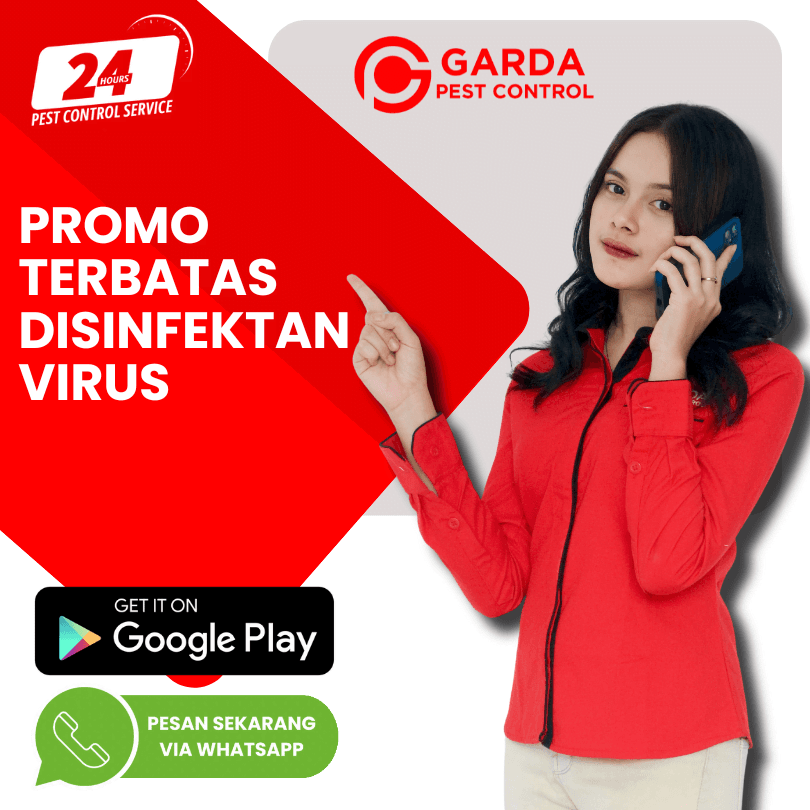 Virus HMPV: Arti, Gejala, dan Akibatnya