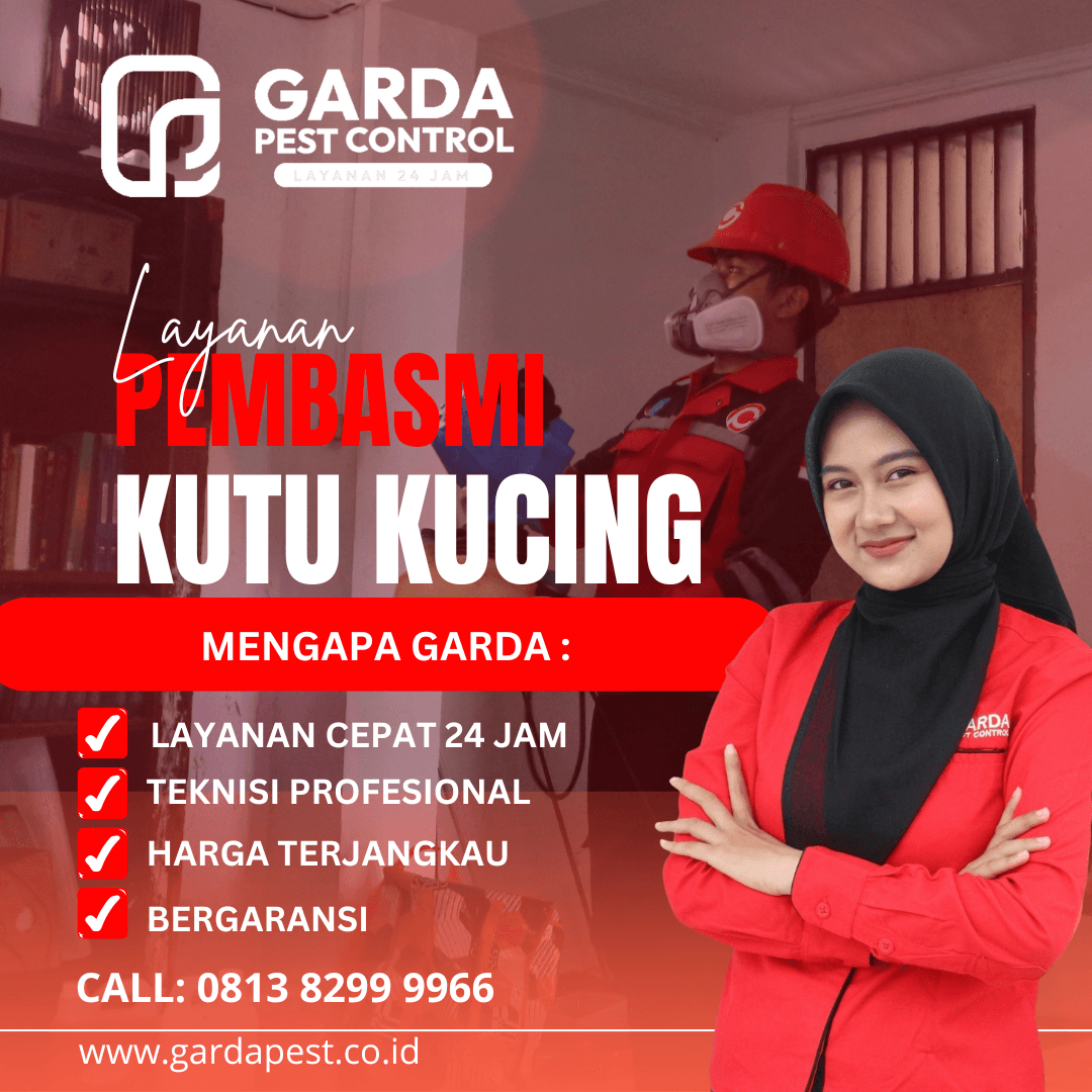 Jasa Basmi Kutu Kucing BSD Tangsel Bergaransi Proses Cepat