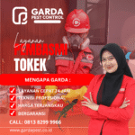 Perusahaan Pest Control di Kemang Pratama Bekasi Profesional Jasa Pembasmi Tokek di Bekasi