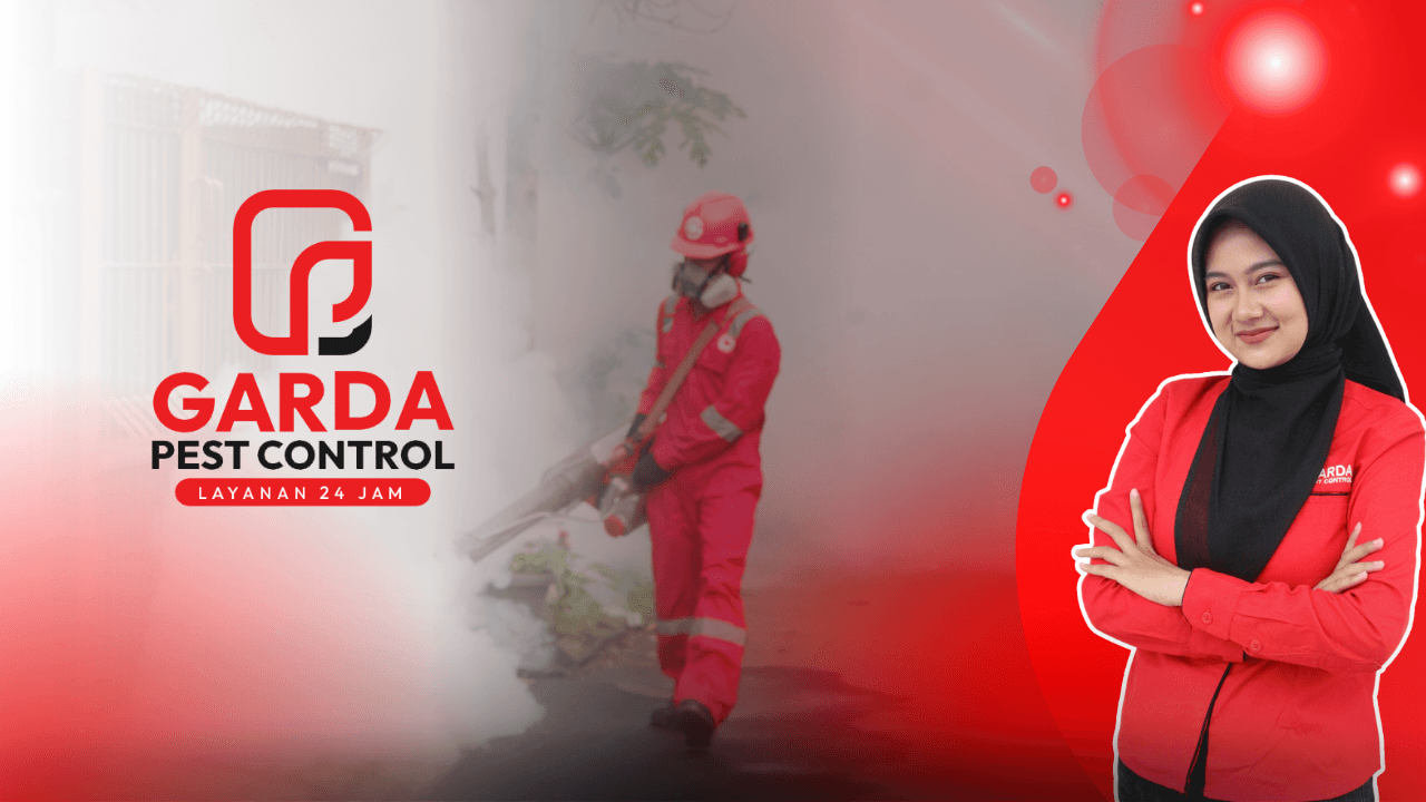 Jasa Fogging Nyamuk di Jakarta Selatan