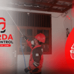 Pest Control Pembasmi Rayap