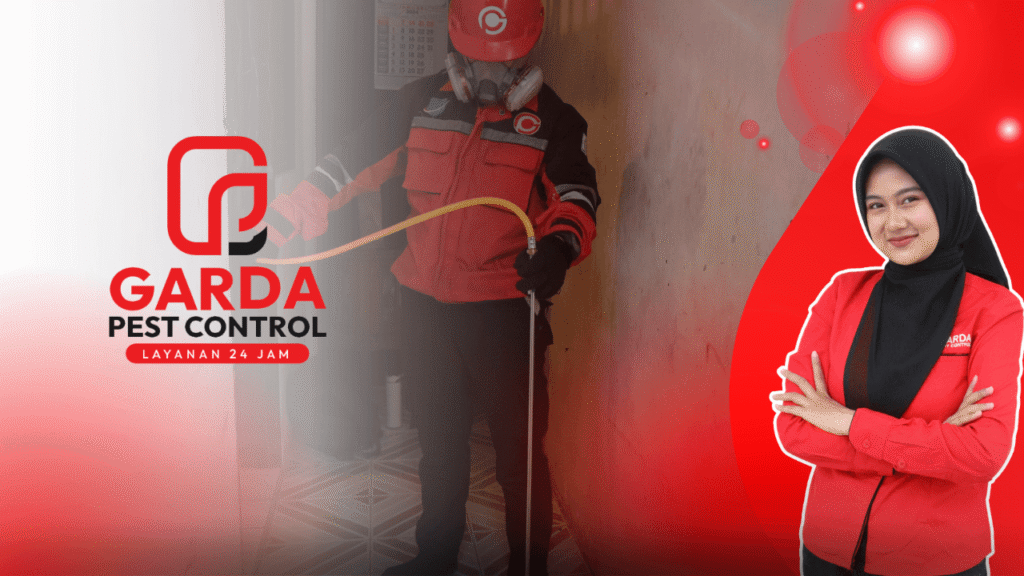 Jasa Anti Rayap di Semarang Timur Hasil Efektif Bergaransi