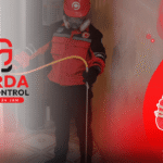 Jasa Anti Rayap di Bogor Bergaransi dan Tersertifikasi Pest Control Pembasmi Rayap Pasca Konstruksi