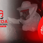 Jasa Pembasmi Tawon Vespa di Cimahi Pest Control Pembasmi Tawon