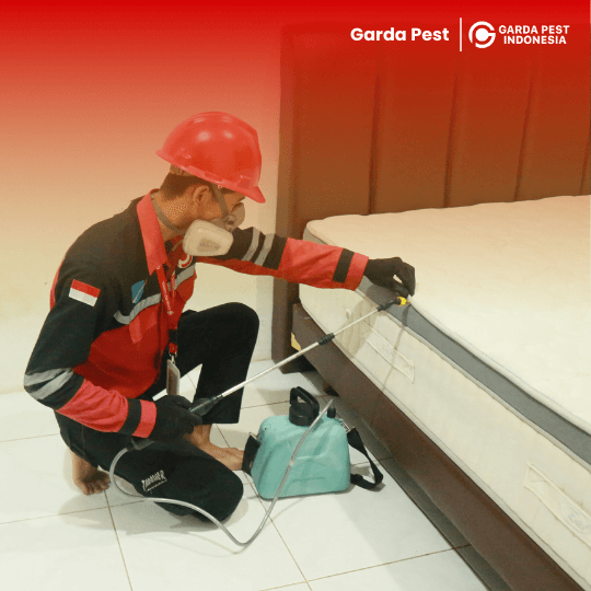 Jasa Pembasmi Kutu Kasur di Bandung – Solusi Aman Bersama Garda Pest Control