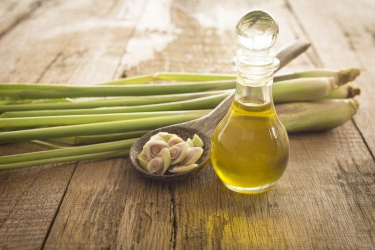 Cara Tangani Nyamuk Secara Alami dan Ampuh