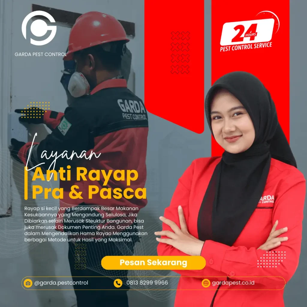 Anti Rayap Bali Profesional Dan Berkualitas Anti Rayap Bali Profesional Dan Berkualitas