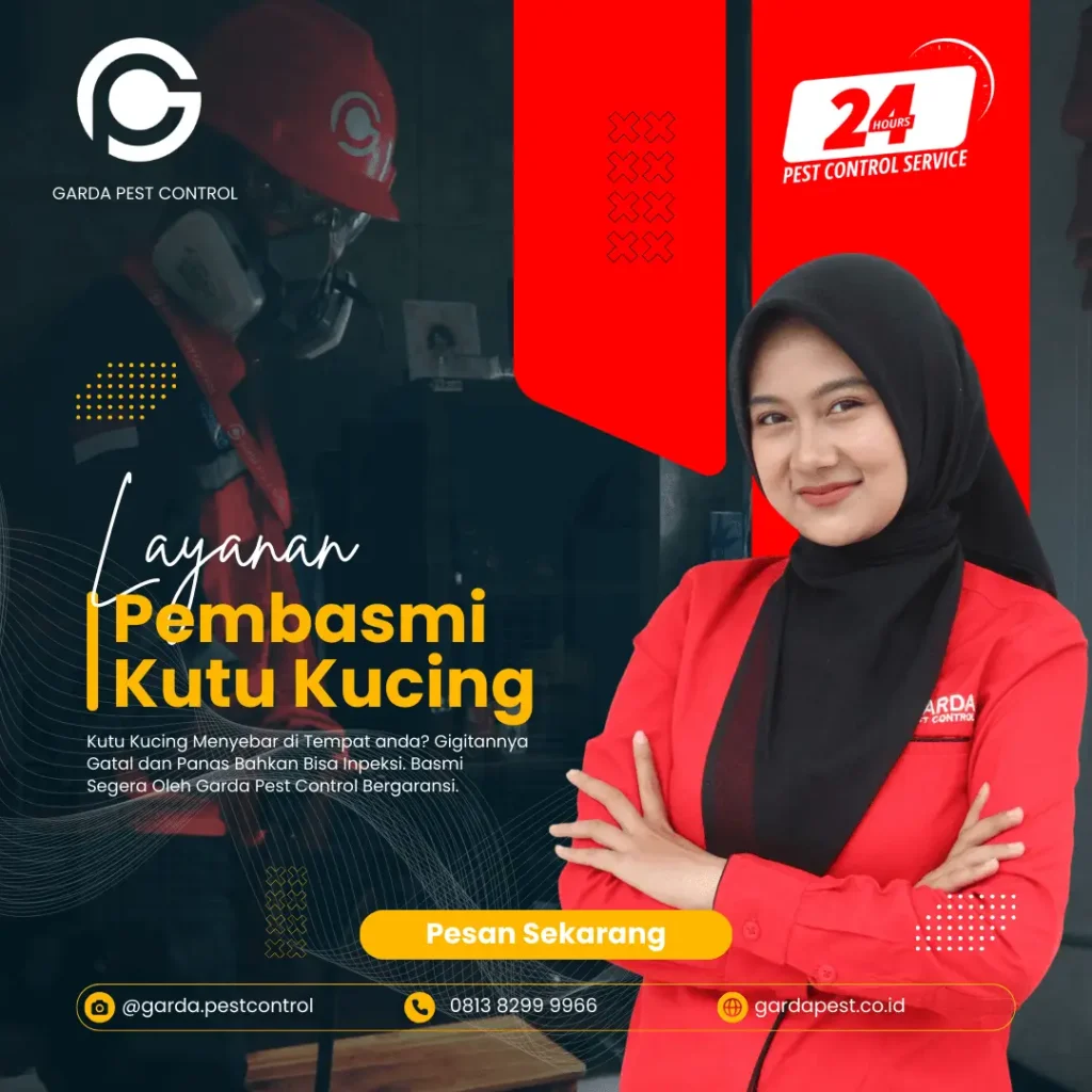 Jasa Pembasmi Kutu Kucing Plumbon Biaya Terjangkau