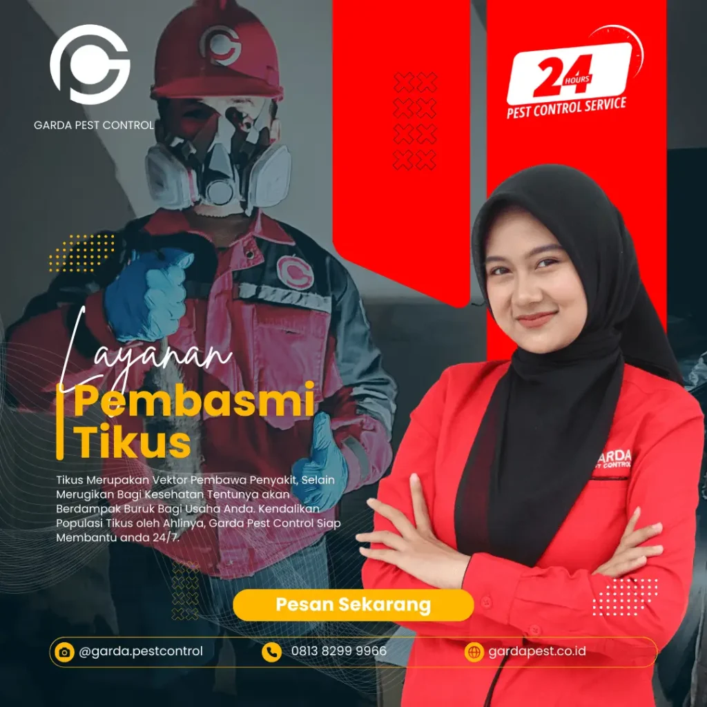 Jasa Pembasmi Tikus Di Rumah Pelabuhan Ratu Profesional Jasa Pembasmi Tikus Di Rumah Pelabuhan Ratu Profesional