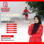 Jasa Fogging Nyamuk DBD Bangil Jawa Timur