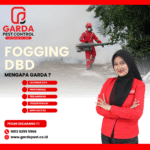Jasa Fogging Nyamuk di Pekalongan Indoor Tidak Licin di Lantai Jasa Fogging Nyamuk di Pekalongan Indoor Tidak Licin di Lantai