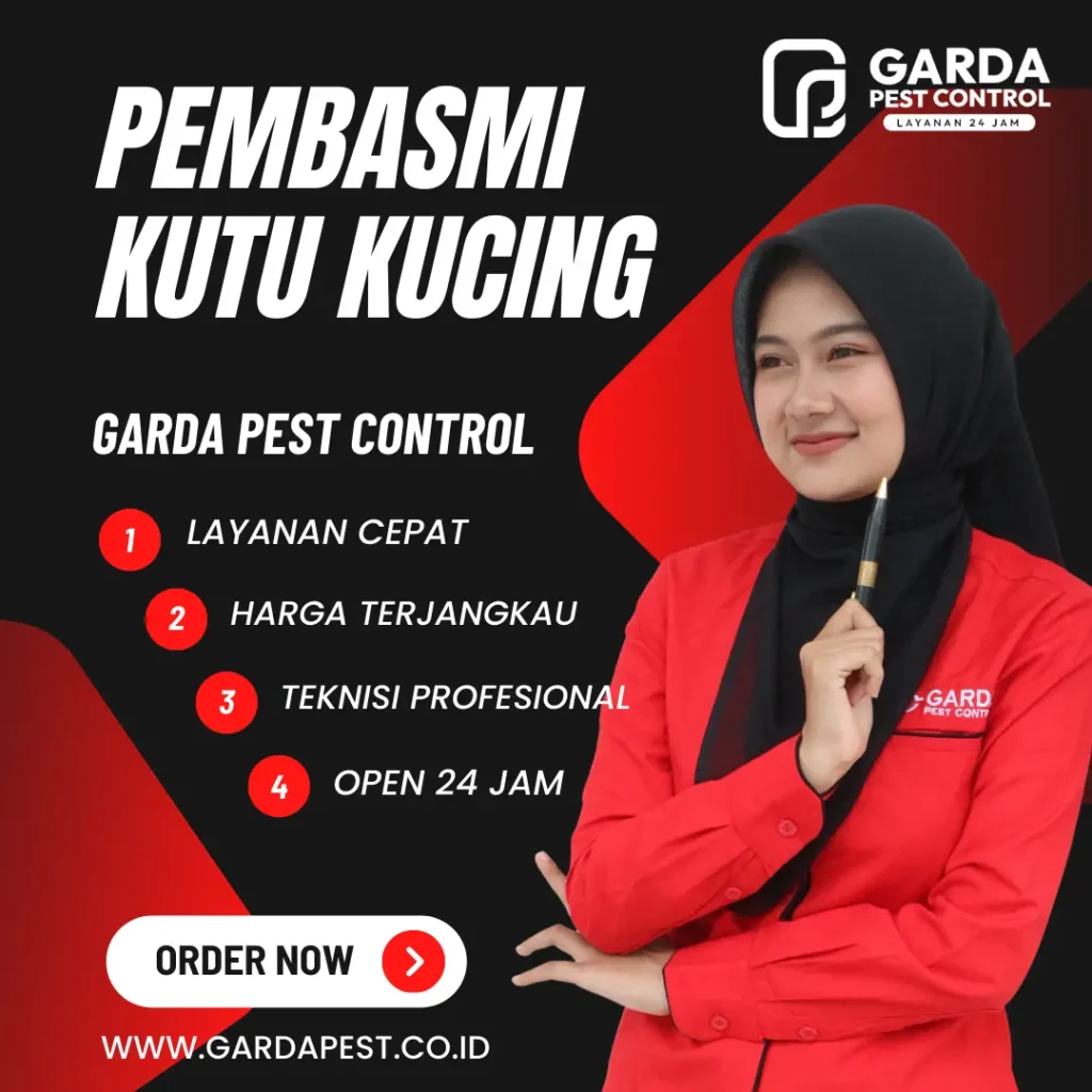 Jasa Pembasmi Kutu Kucing Jember Bergaransi 24 Jam