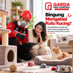 Harga Jasa Pembasmi Kutu Kucing di Klaten