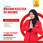 Jasa Pembasmi Kecoa di Mobil Gresik 24 Jam Jasa Pembasmi Kecoa di Mobil Gresik