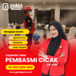 Jasa Pembasmi Cicak Terbaik