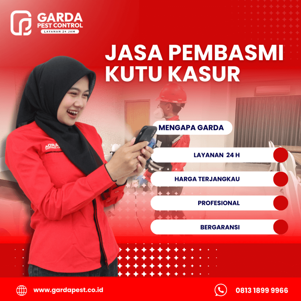 Jasa Pembasmi Kutu Kasur Jember Cepat 24 Jam Jasa Pembasmi Kutu Kasur Jember Cepat 24 Jam