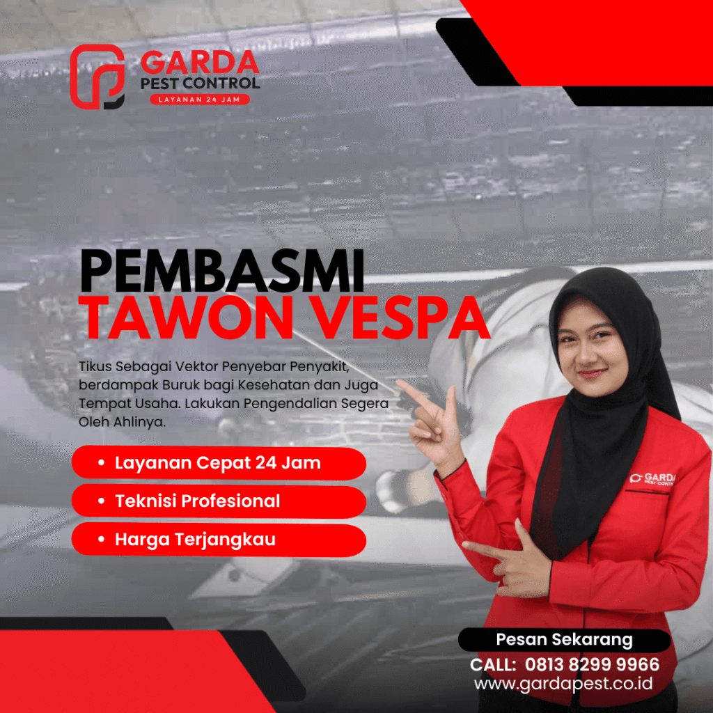 Jasa Pembasmi Tawon Pelabuhanratu Cepat 24 Jam