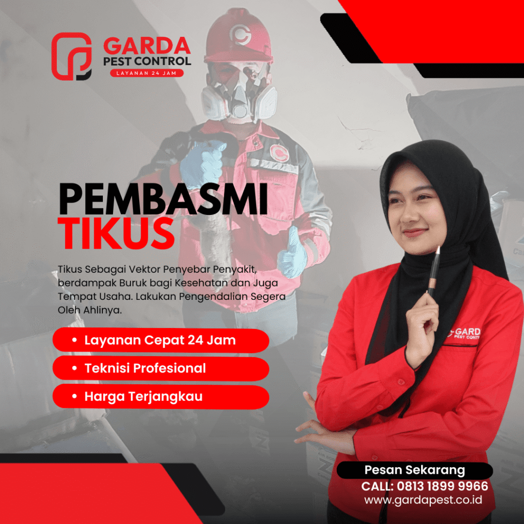 Jasa Pembasmi Tikus Pelabuhan Ratu Berkualitas Jasa Pembasmi Tikus Pelabuhan Ratu Berkualitas