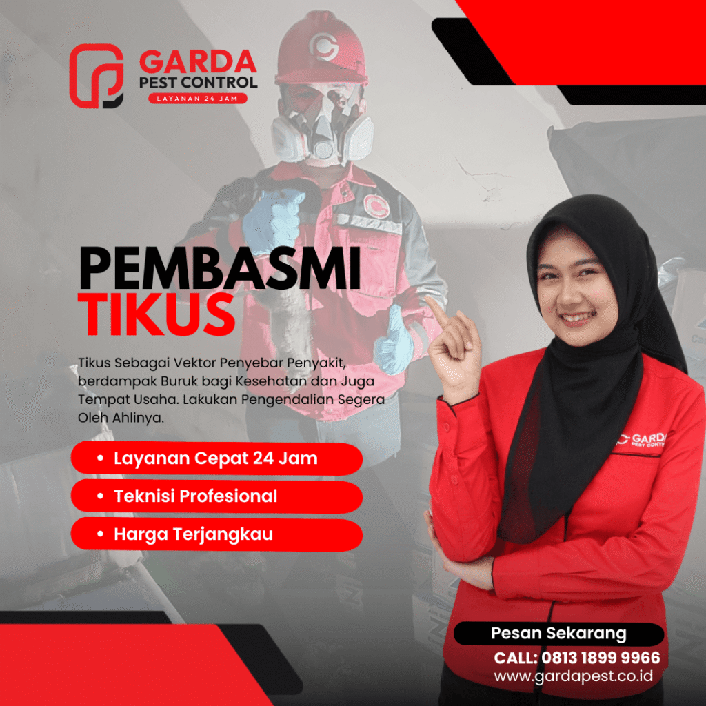 Biaya Jasa Pembasmi Tikus Pelabuhan Ratu Murah Biaya Jasa Pembasmi Tikus Pelabuhan Ratu Murah