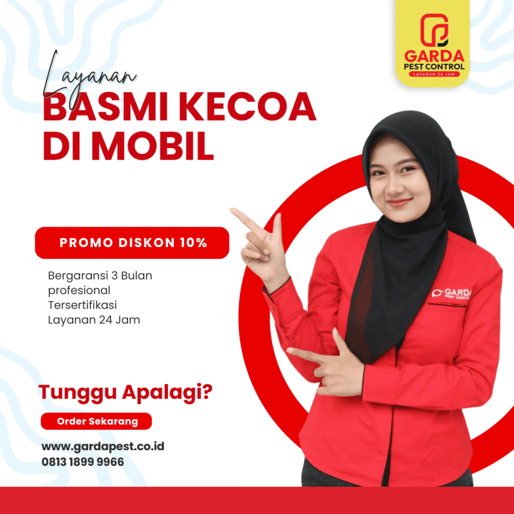 Jasa Pembasmi Kecoa di Mobil Jakarta Bergaransi 3 Bulan