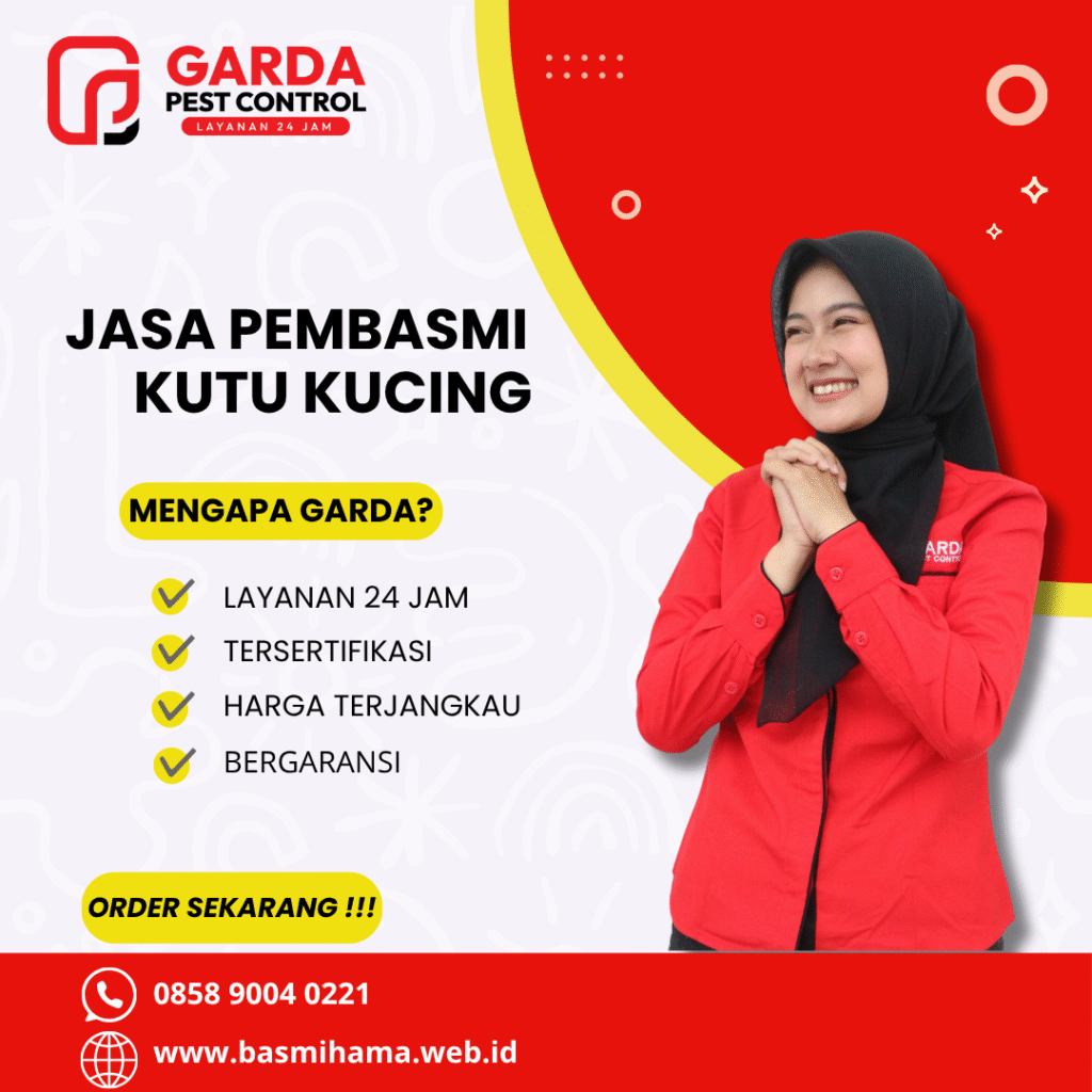 Kutu Kucing Menyebar di Rumah? Hati-Hati, Ini Dampaknya Bagi Anda dan Keluarga!