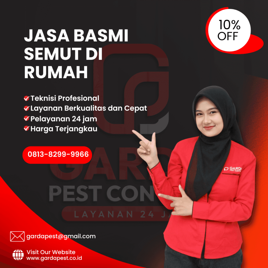 Jasa Pembasmi Semut di Rumah Kualitas Terjamin