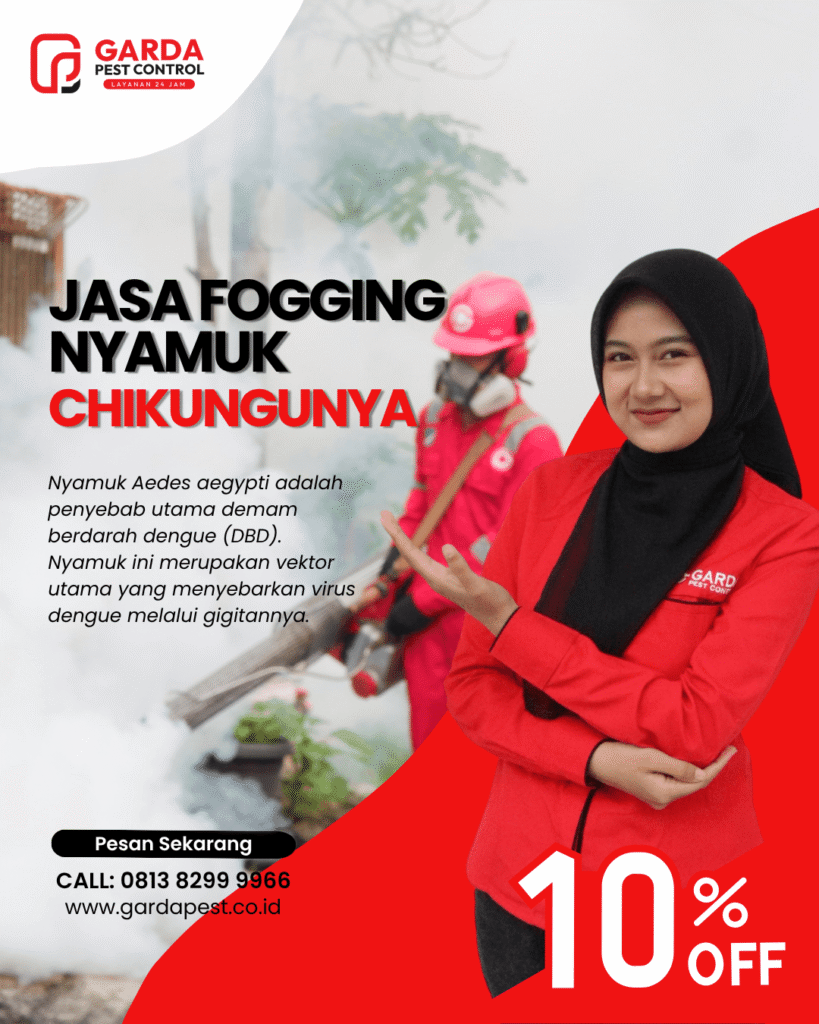 Perusahaan Jasa Fogging Nyamuk Chikungunya di Bandung Perusahaan Jasa Fogging Nyamuk Chikungunya di Bandung