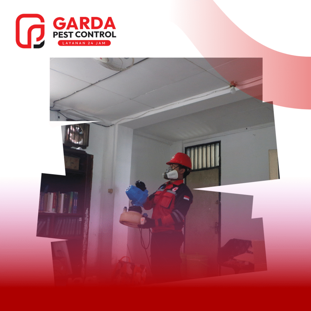 Waspada Nyamuk Pembawa Penyakit! Solusi Tuntas oleh Ahlinya