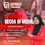Cara Ampuh Mengusir Kecoa Kecil di Mobil Secara Permanen Jasa Pembasmi Kecoa Mobil Terdekat