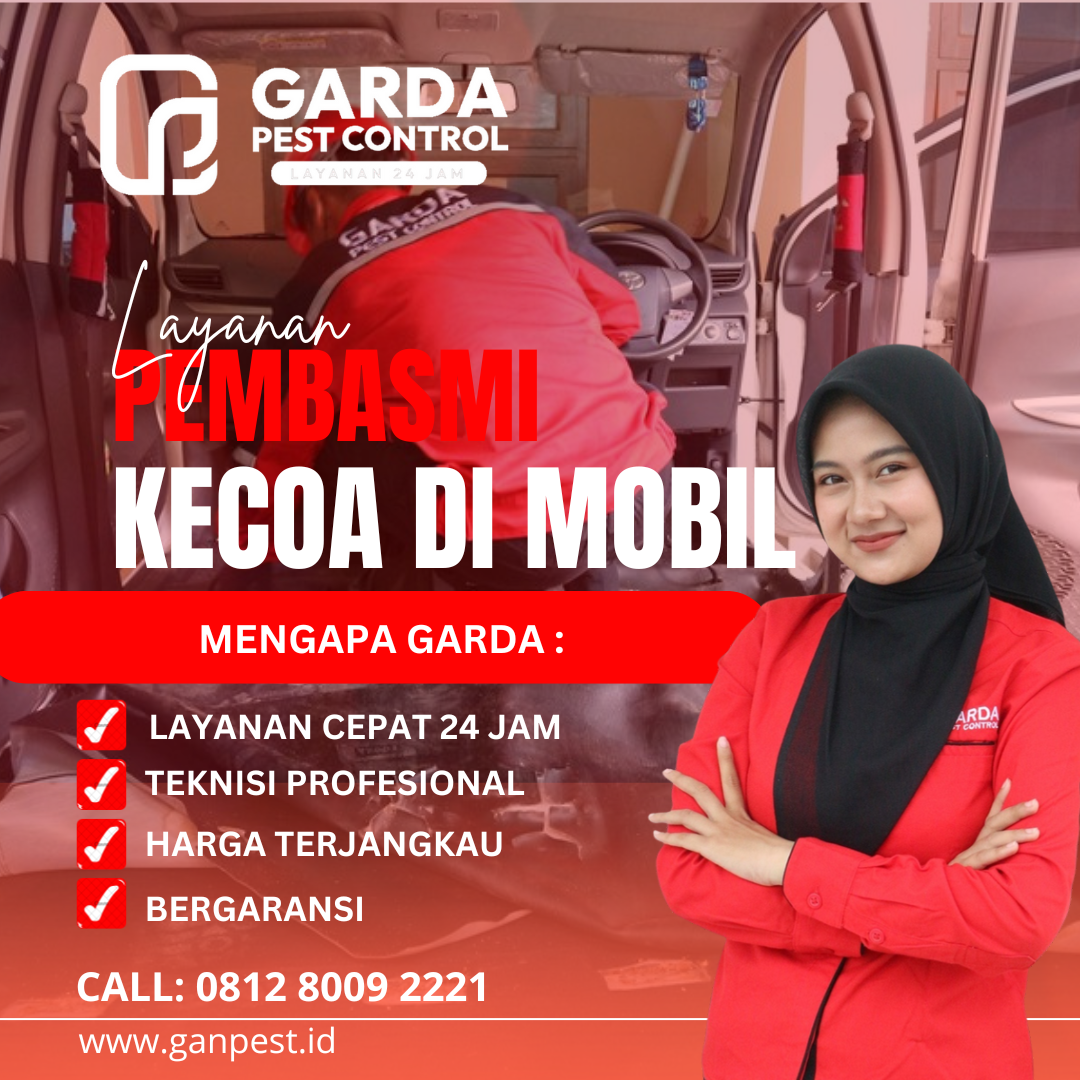 Cara Ampuh Mengusir Kecoa Kecil di Mobil Secara Permanen