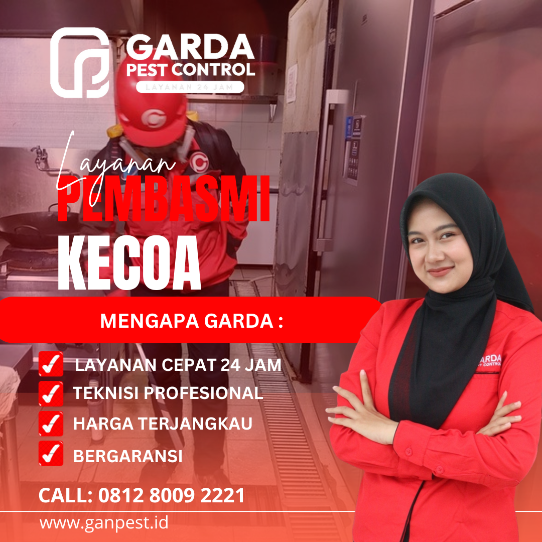 Mengapa Kecoa Jerman Ada Terus? Mungkin Anda Lupa 3 Hal Ini