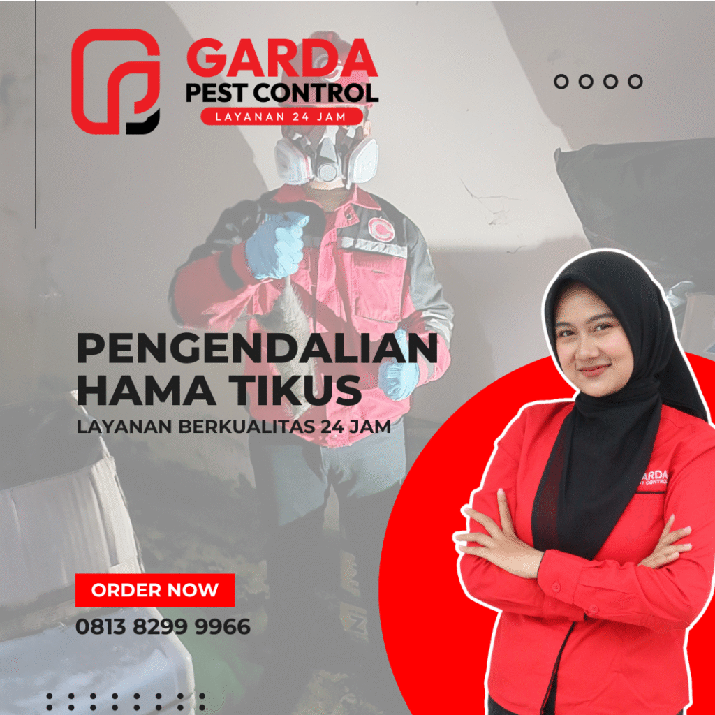 Jasa Pembasmi Tikus Bandung Metode Terbaru