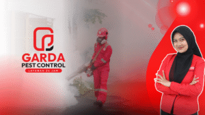 Pakar Jasa Fogging Nyamuk DBD di Salatiga Kualitas Terjamin