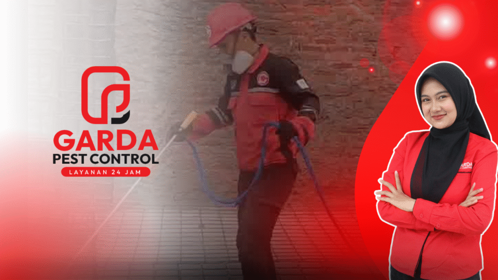 Basmi Rayap di Salatiga Metode Baiting Efektif Bunuh Ratu Rayap