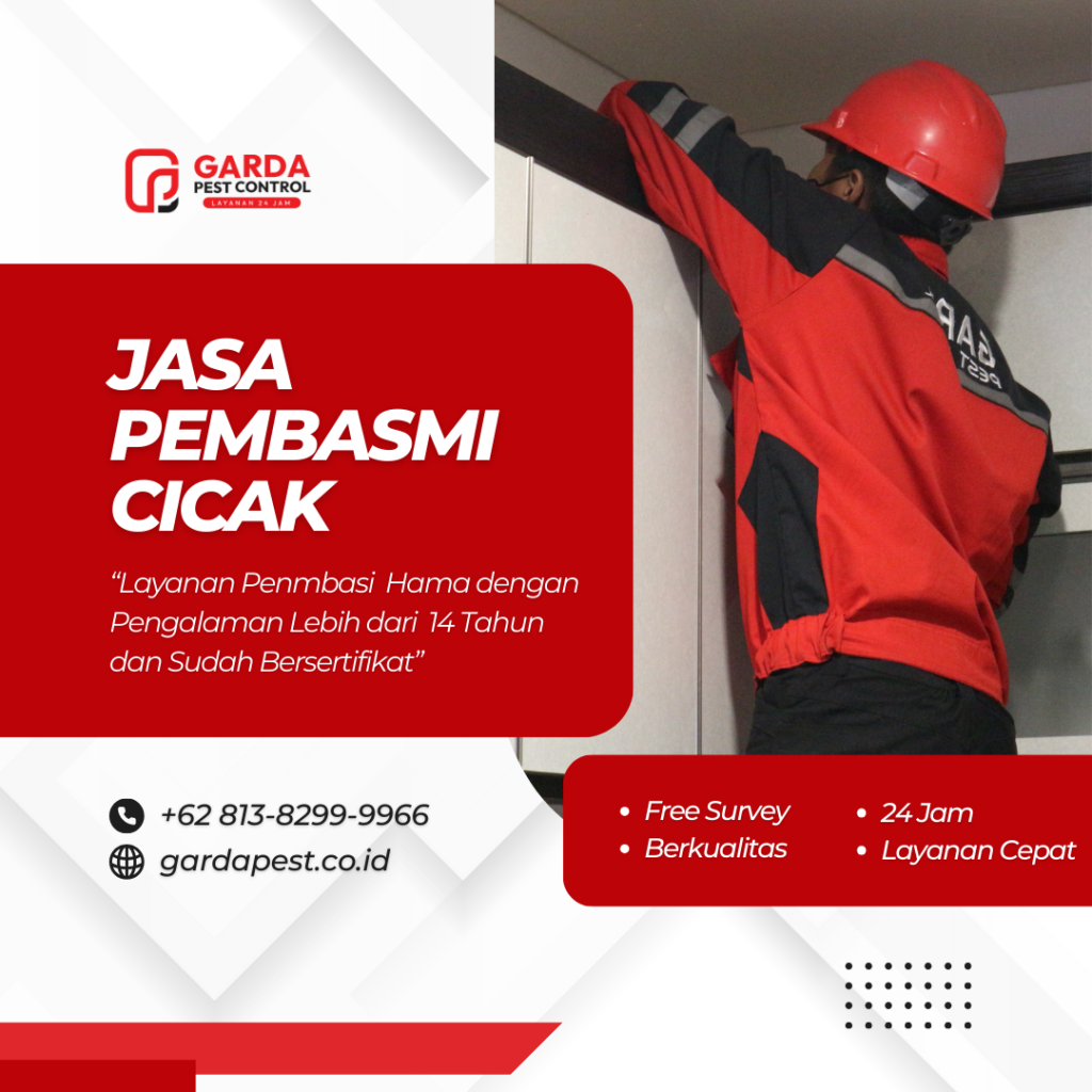 Jasa Pembasmi Cicak Terbaik di Jakarta