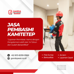 Jasa Basmi Kamitetep terdekat