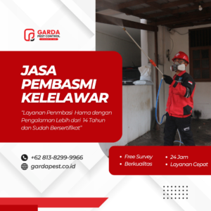 Jasa Basmi Kelelawar Terbaik