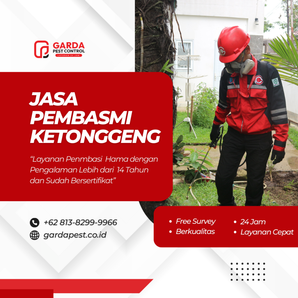 Jasa Basmi Ketonggeng Terdekat