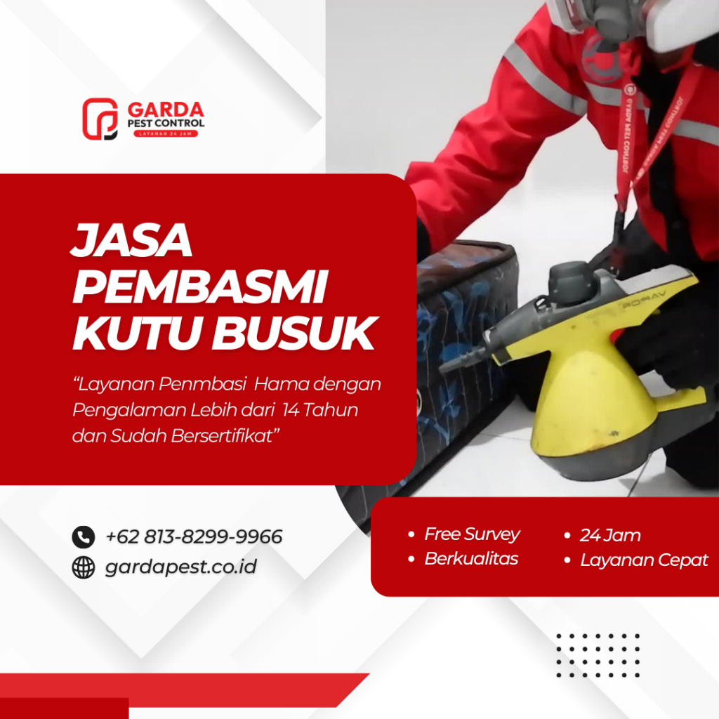 Jasa Pembasmi Kutu Busuk Terdekat