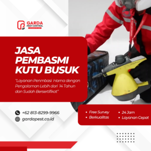 Jasa Pembasmi Kutu Busuk Terdekat