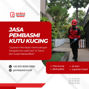 Jasa Pembasmi Kutu Terdekat