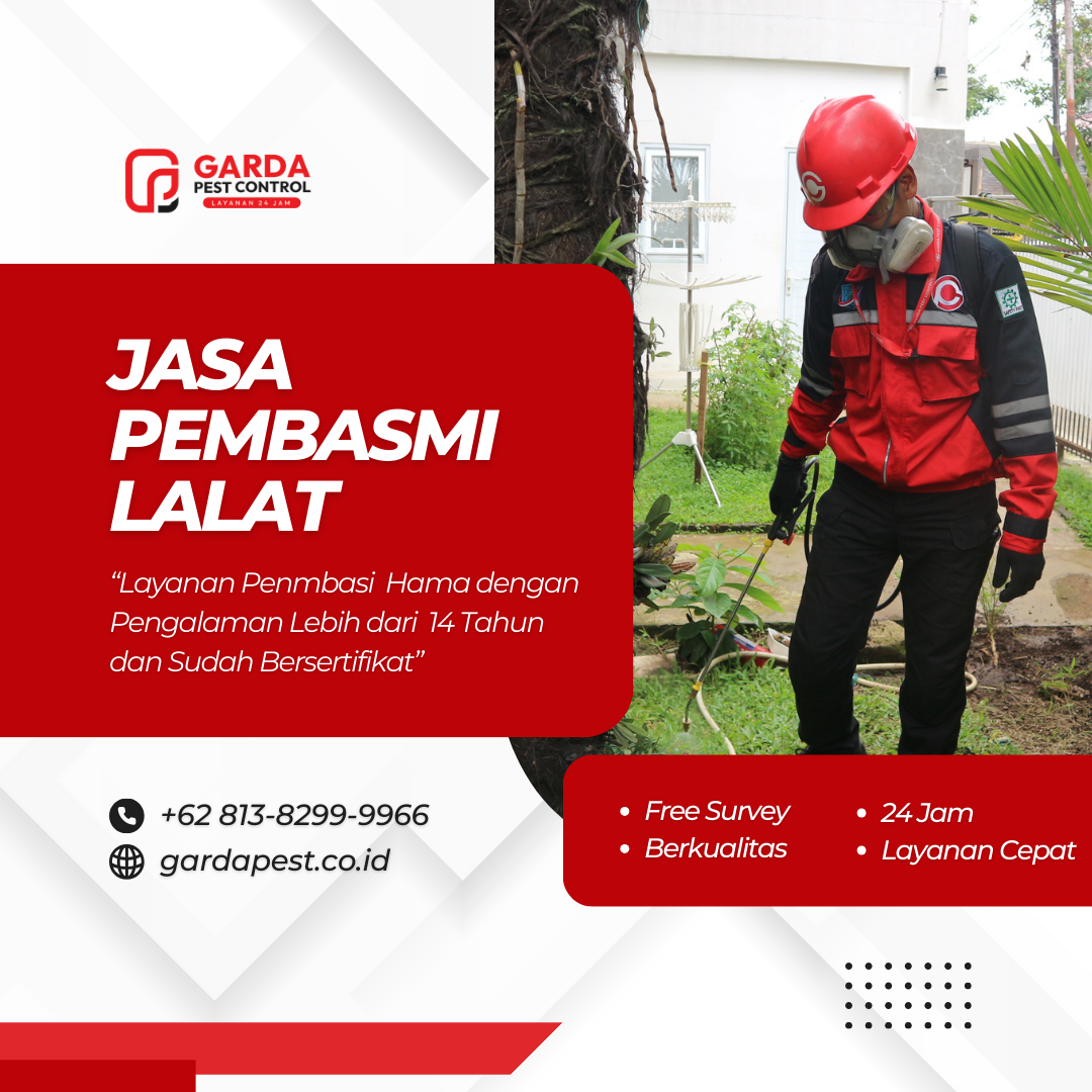 Jasa Pembasmi Lalat di Tempat Usaha