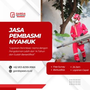 Jasa Fogging Nyamuk Murah dan Terdekat