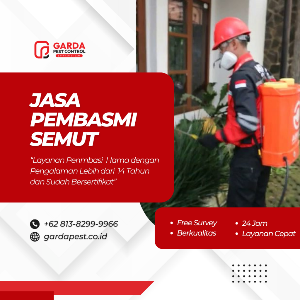 Jasa Pembasmi Semut Terbaik dan Terdekat
