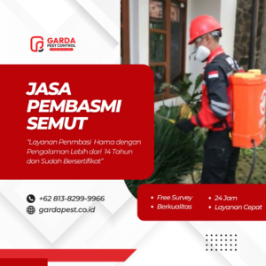 Jasa Pembasmi Semut Terbaik dan Terdekat