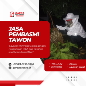 Jasa Pembasmi Tawon Terdekat di Jakarta