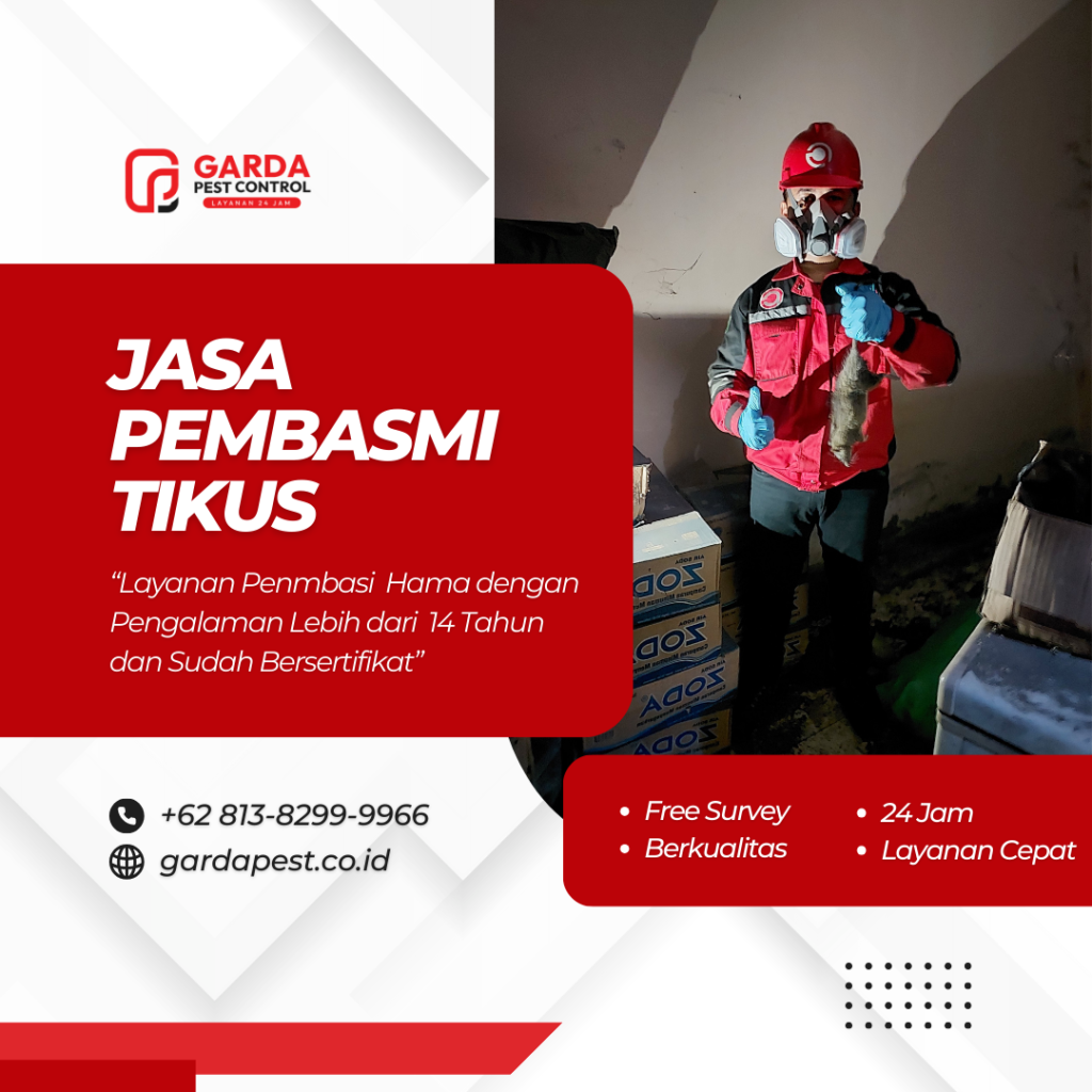 Jasa Pembasmi Tikus Padang Sumatera Barat