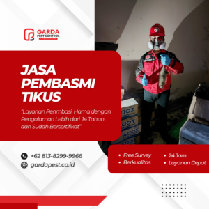 Jasa Basmi Tikus Terbaik di Jakarta