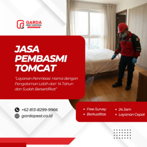 Jasa Basmi Tomcat Terbaik dan Terdekat